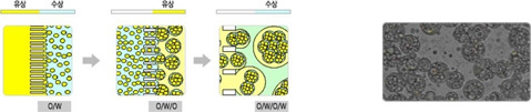 W/O/W